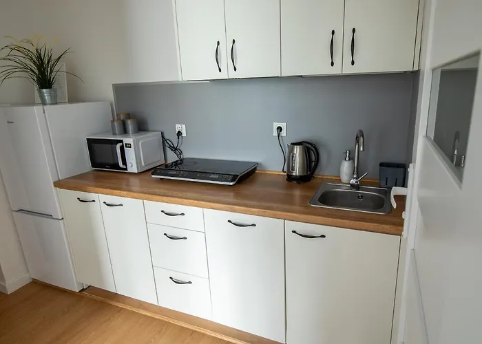 Apartament Iga